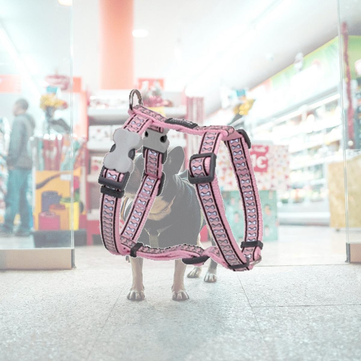 Picture of Red Dingo DH-RB-PK-12 Dog Harness Reflective Pink- Extra Small