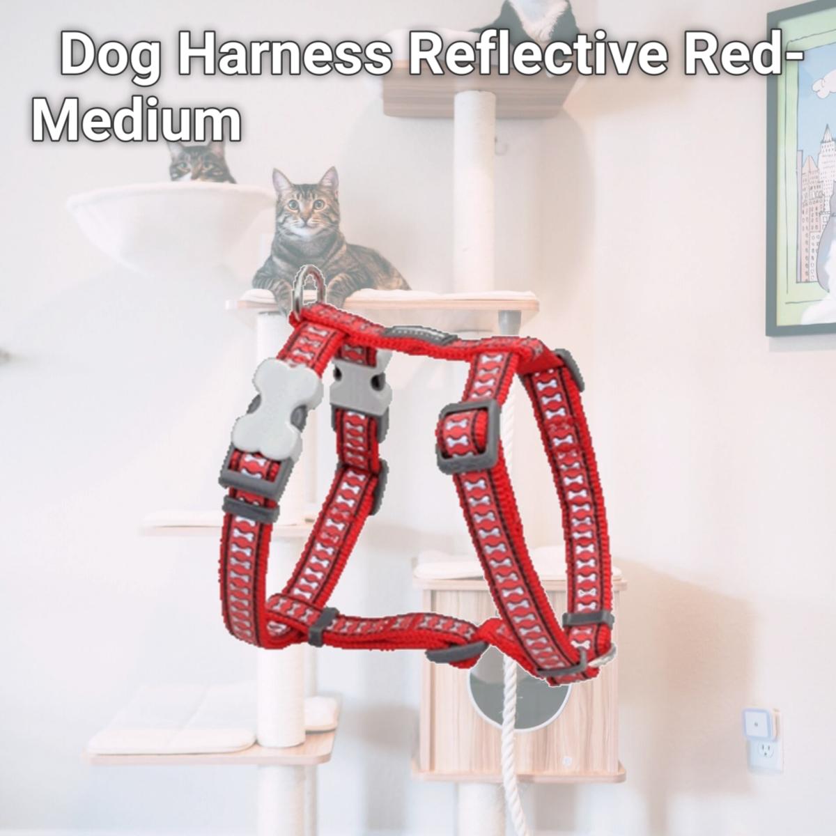 Picture of Red Dingo DH-RB-RE-20 Dog Harness Reflective Red- Medium