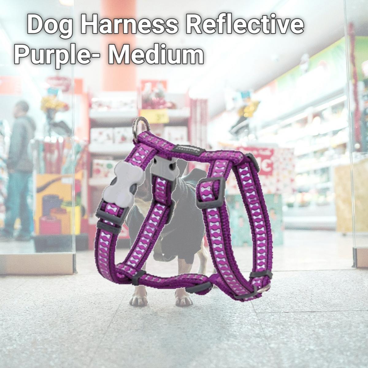Picture of Red Dingo DH-RB-PU-20 Dog Harness Reflective Purple- Medium
