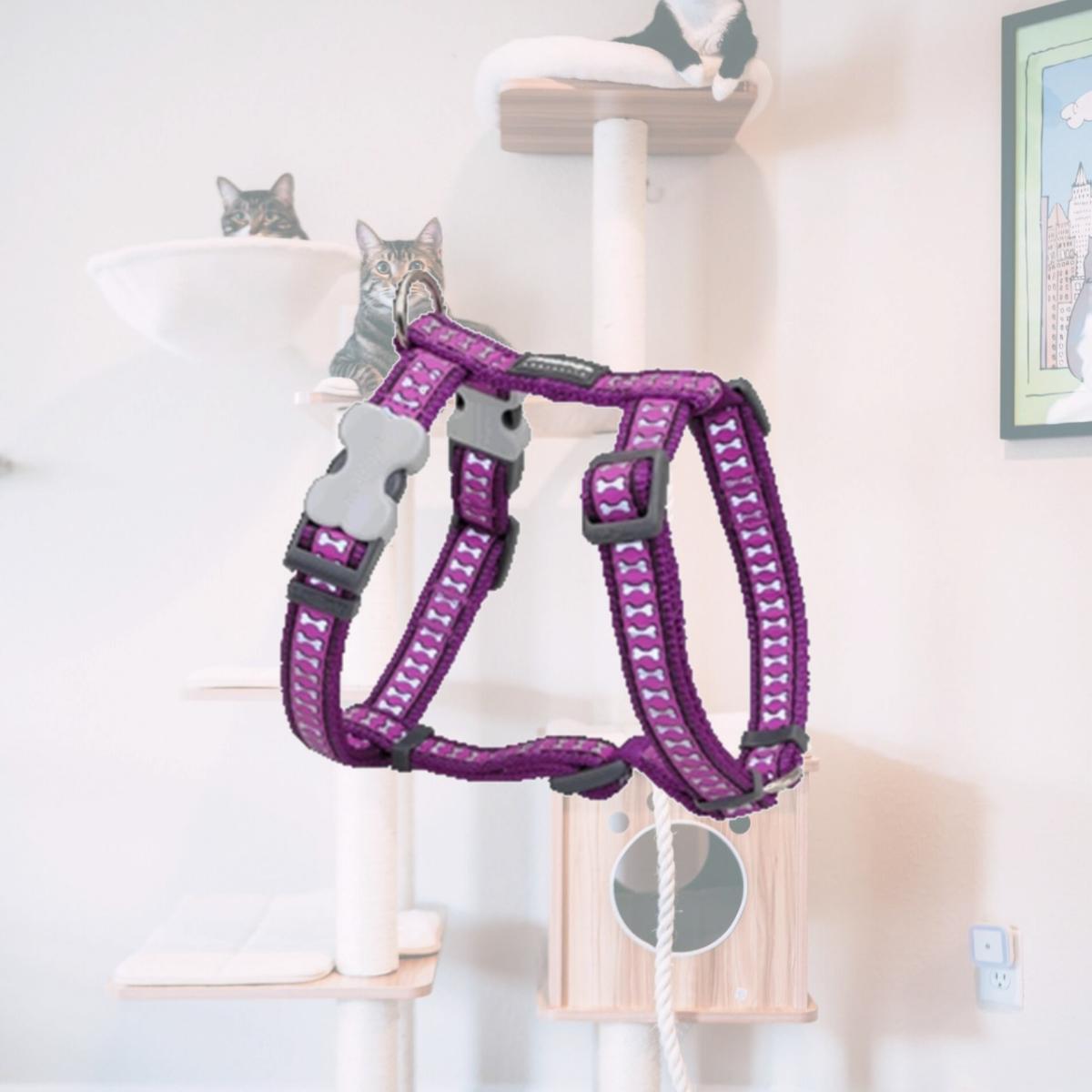 Picture of Red Dingo DH-RB-PU-20 Dog Harness Reflective Purple- Medium