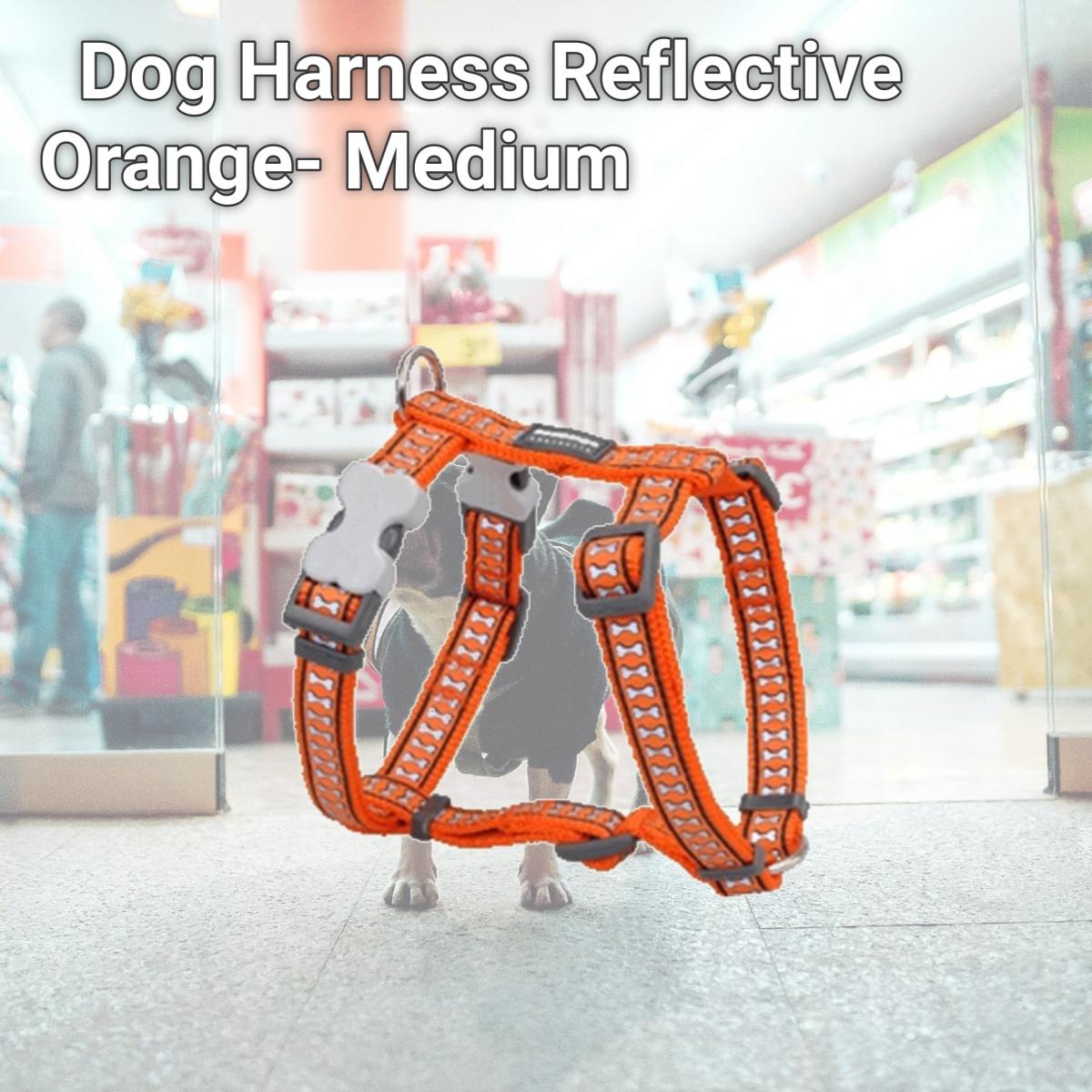 Picture of Red Dingo DH-RB-OR-20 Dog Harness Reflective Orange- Medium