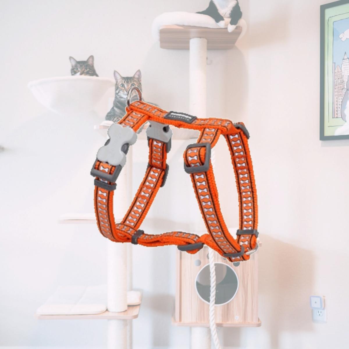 Picture of Red Dingo DH-RB-OR-20 Dog Harness Reflective Orange- Medium