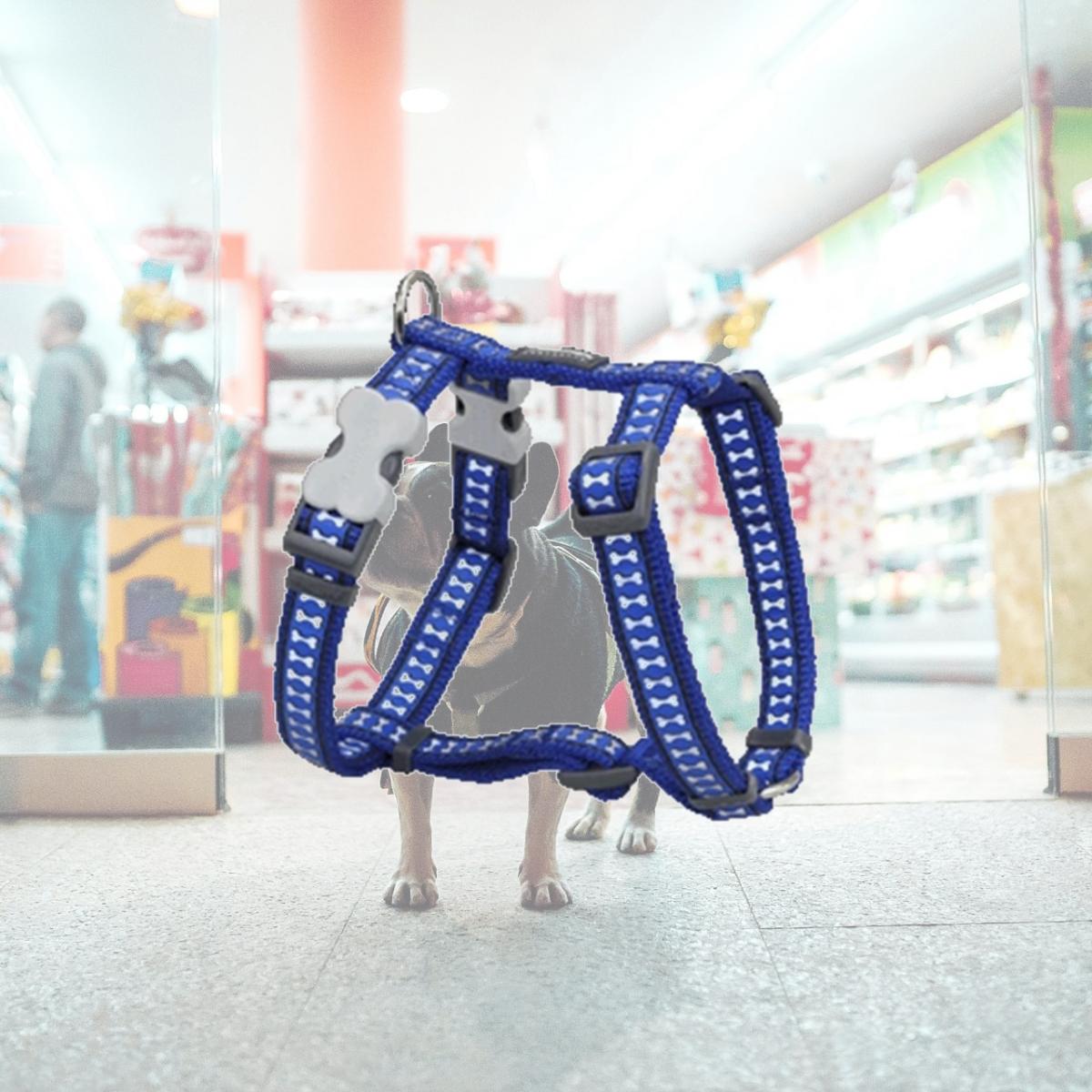 Picture of Red Dingo DH-RB-DB-25 Dog Harness Reflective Dark Blue- Large