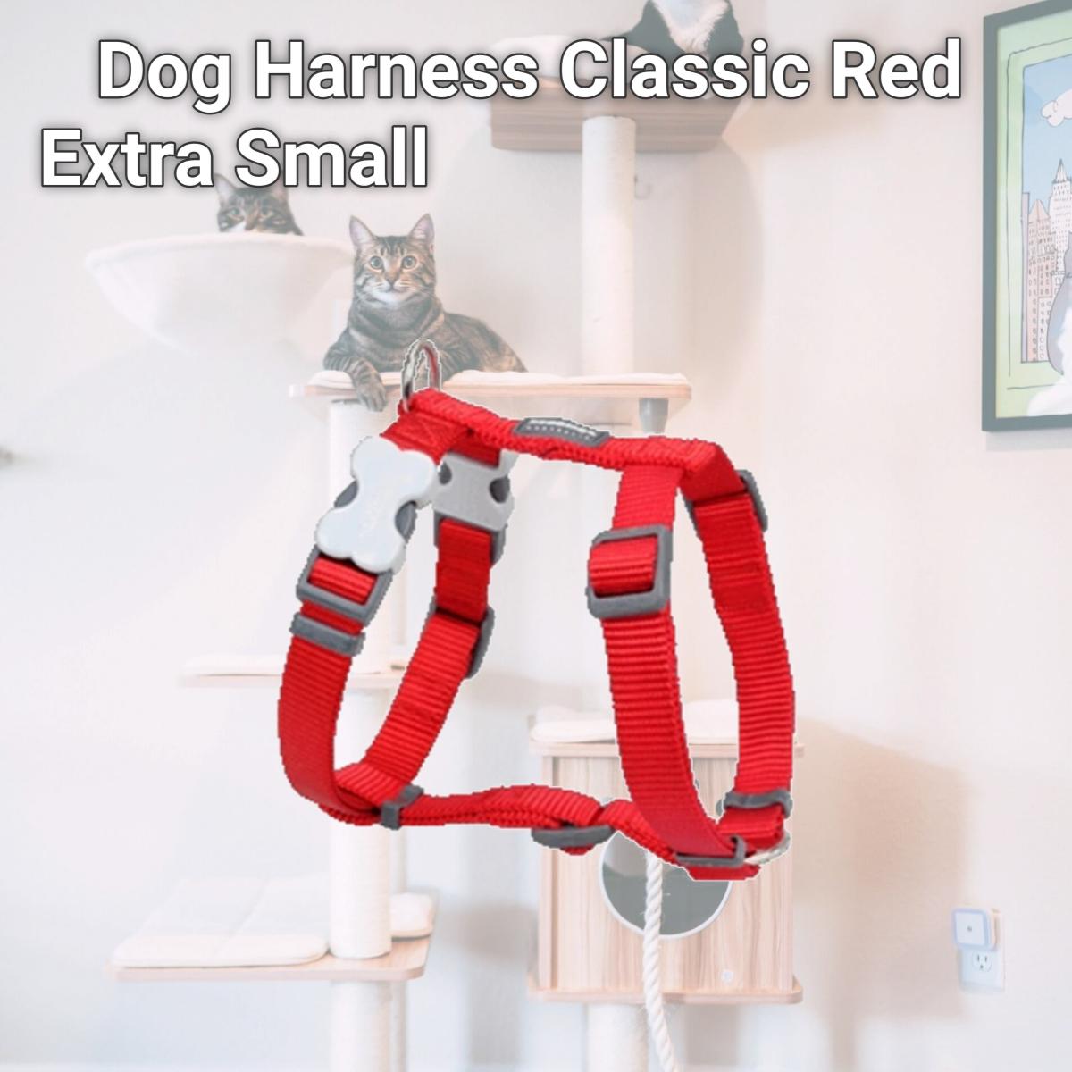 Picture of Red Dingo DH-ZZ-RE-12 Red Dingo Dog Harness Classic Red Extra Small