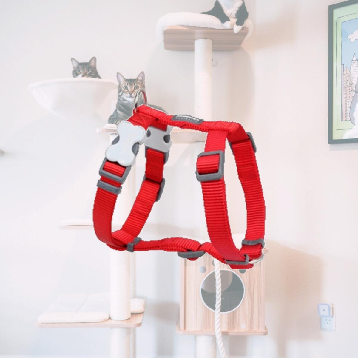 Picture of Red Dingo DH-ZZ-RE-12 Red Dingo Dog Harness Classic Red Extra Small