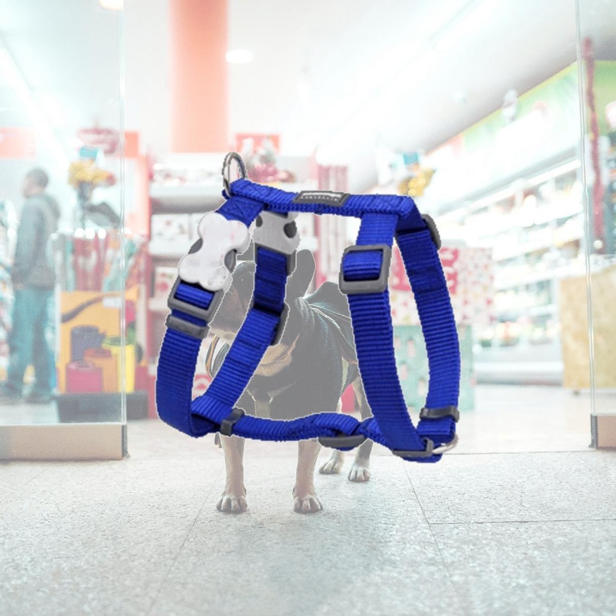 Picture of Red Dingo DH-ZZ-DB-12 Dog Harness Classic Dark Blue- Extra Small