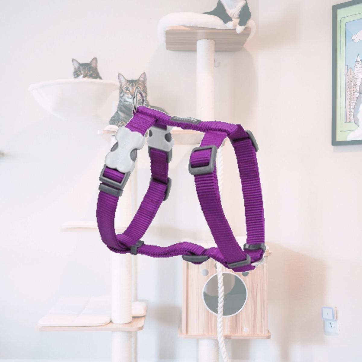 Picture of Red Dingo DH-ZZ-PU-12 Dog Harness Classic Purple- Extra Small