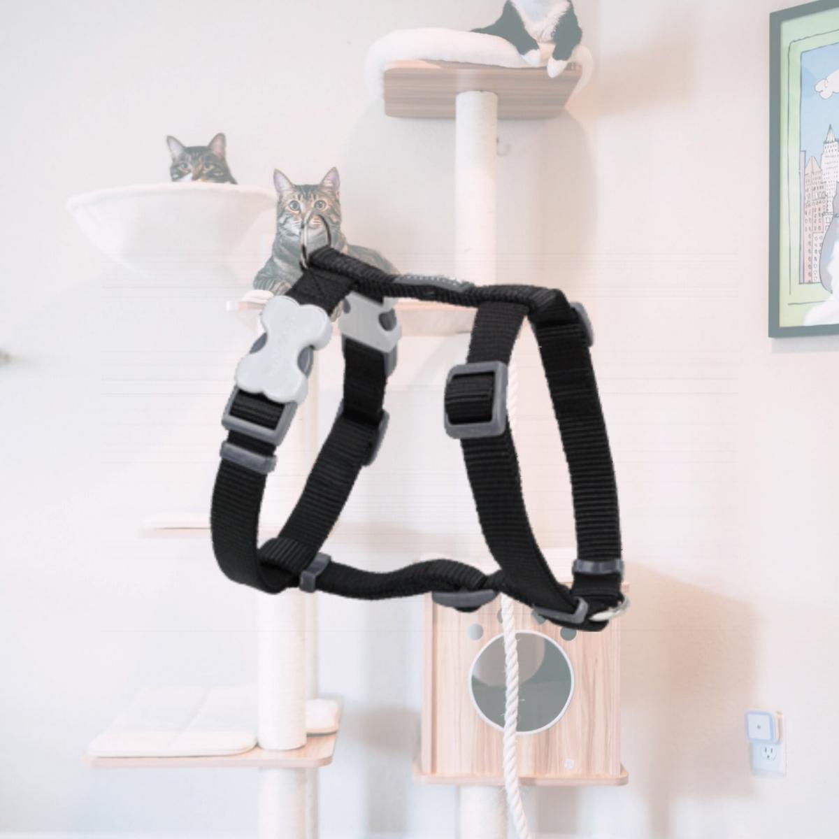 Picture of Red Dingo DH-ZZ-BB-12 Dog Harness Classic Black- Extra Small