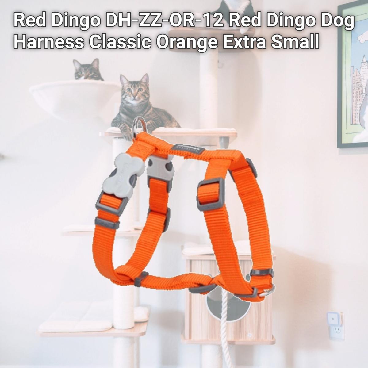 Picture of Red Dingo DH-ZZ-OR-12 Red Dingo Dog Harness Classic Orange Extra Small