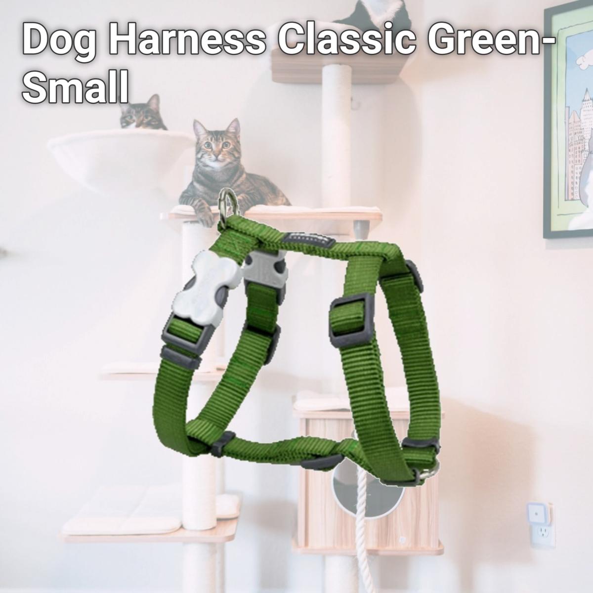 Picture of Red Dingo DH-ZZ-GR-12 Dog Harness Classic Green- Extra Small