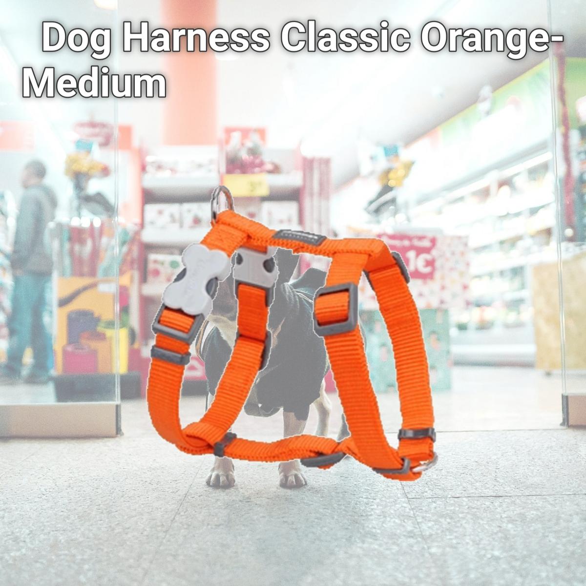 Picture of Red Dingo DH-ZZ-OR-20 Dog Harness Classic Orange- Medium
