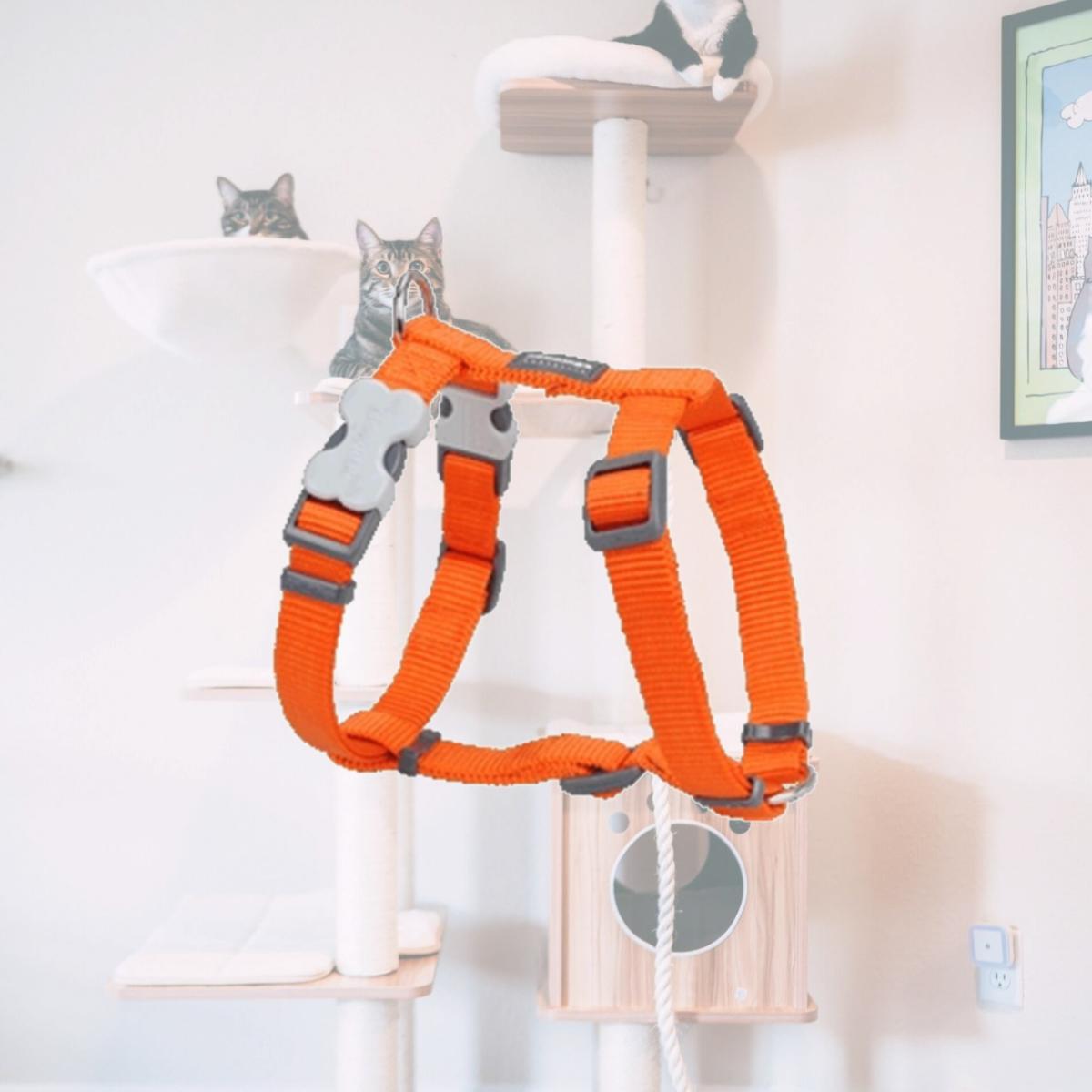 Picture of Red Dingo DH-ZZ-OR-20 Dog Harness Classic Orange- Medium