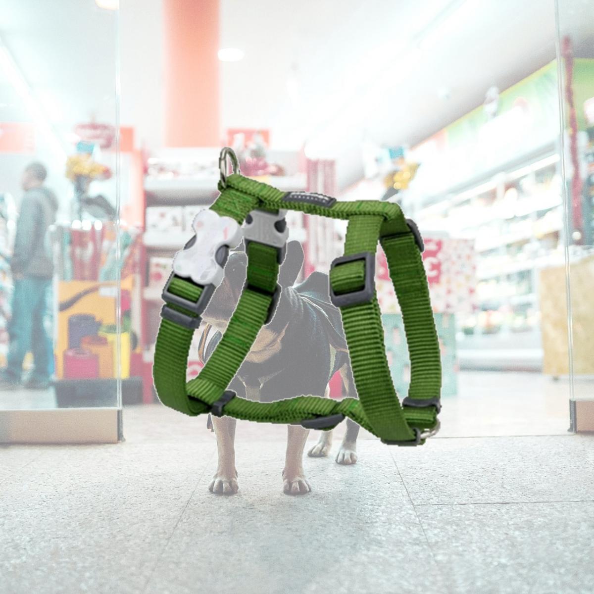 Picture of Red Dingo DH-ZZ-GR-20 Dog Harness Classic Green- Medium