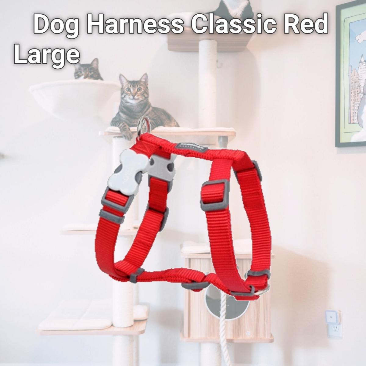 Picture of Red Dingo DH-ZZ-RE-25 Red Dingo Dog Harness Classic Red Large