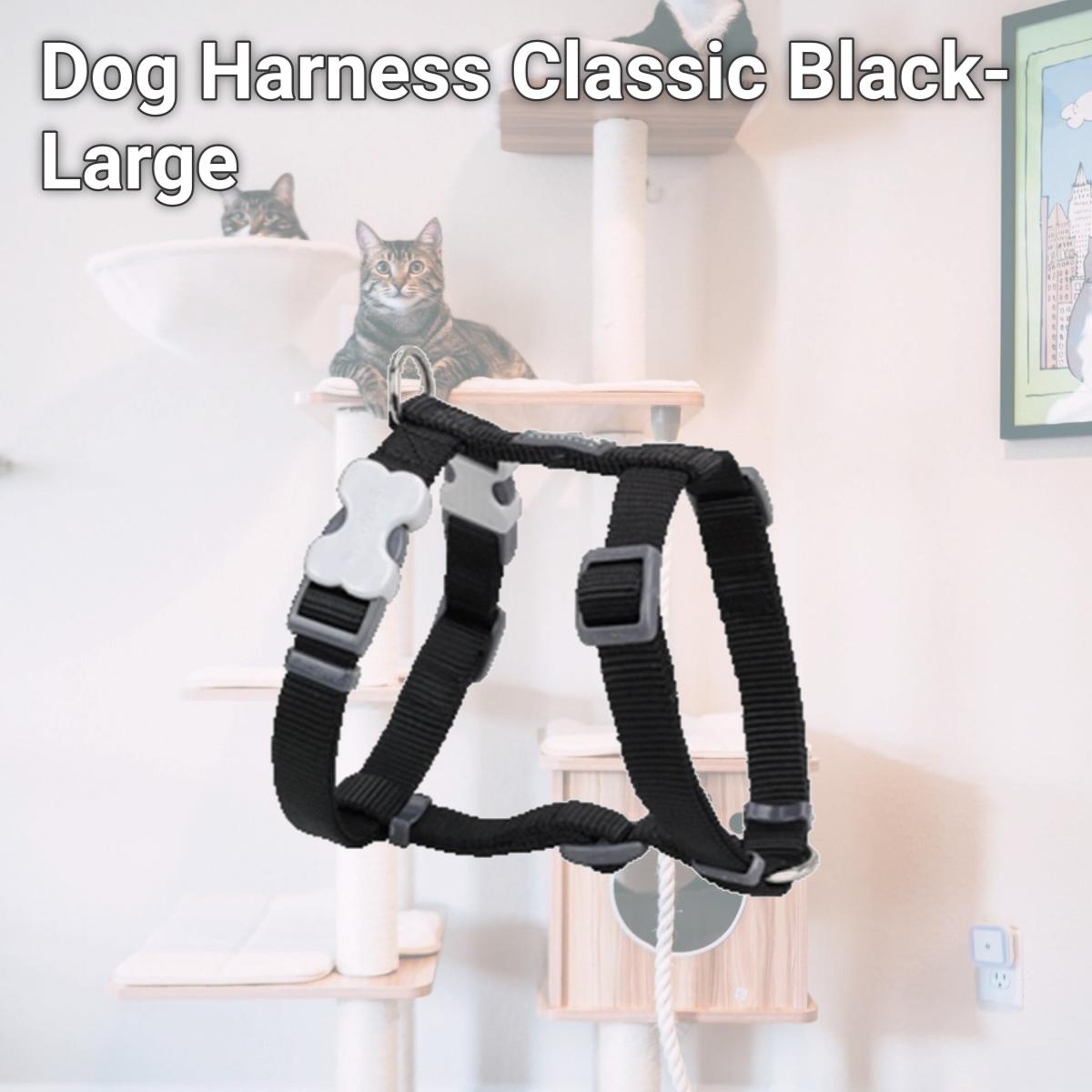 Picture of Red Dingo DH-ZZ-BB-25 Dog Harness Classic Black- Large