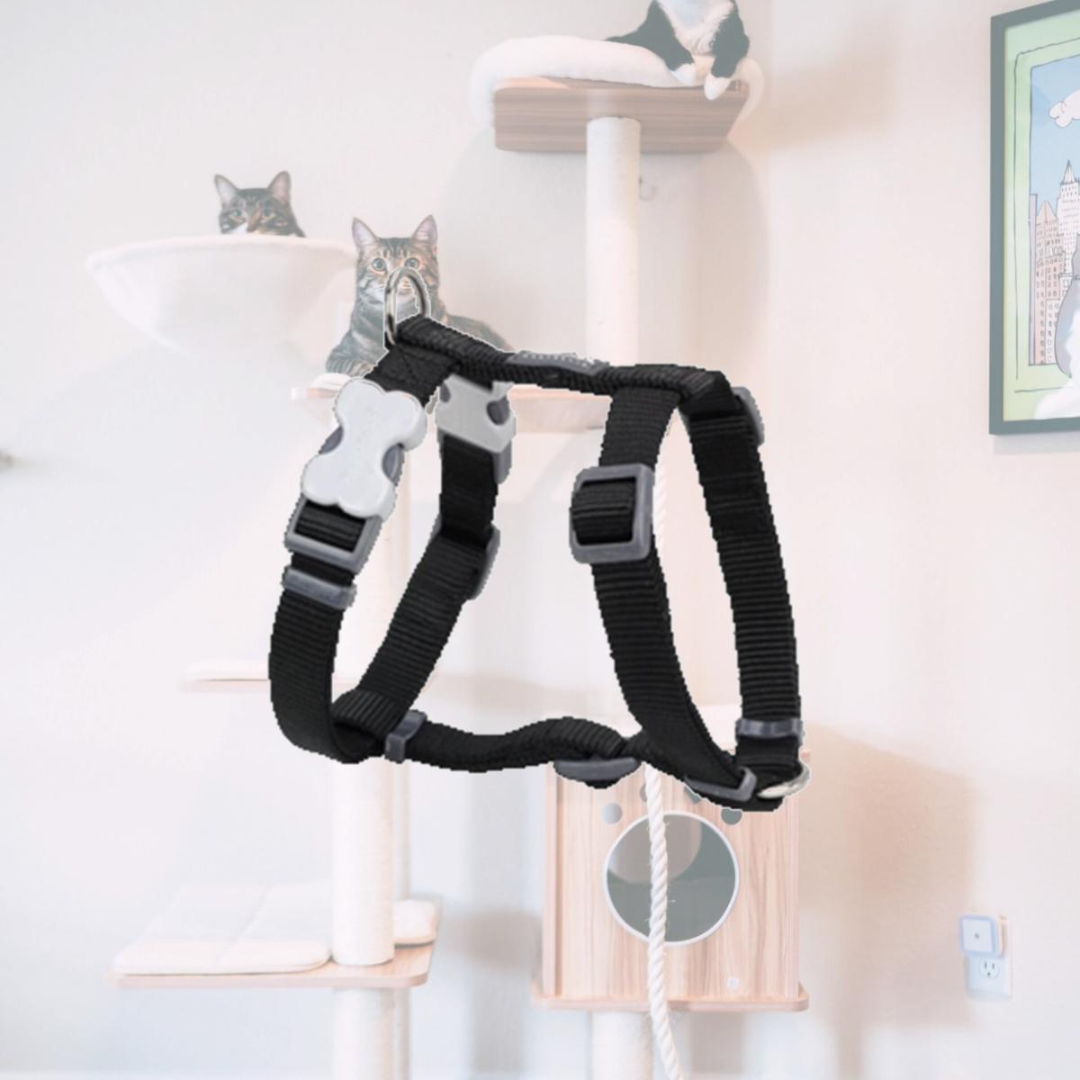 Picture of Red Dingo DH-ZZ-BB-25 Dog Harness Classic Black- Large