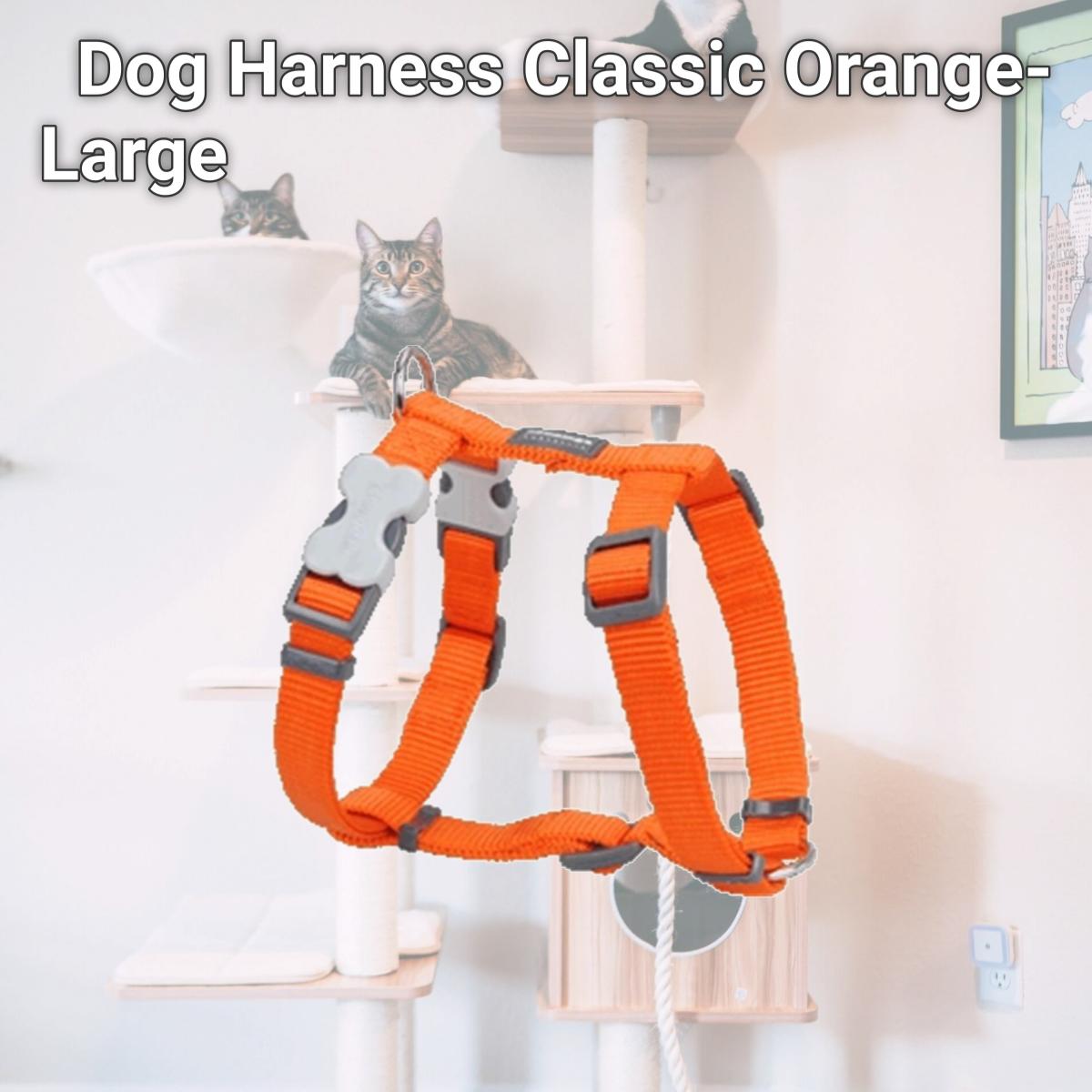 Picture of Red Dingo DH-ZZ-OR-25 Dog Harness Classic Orange- Large