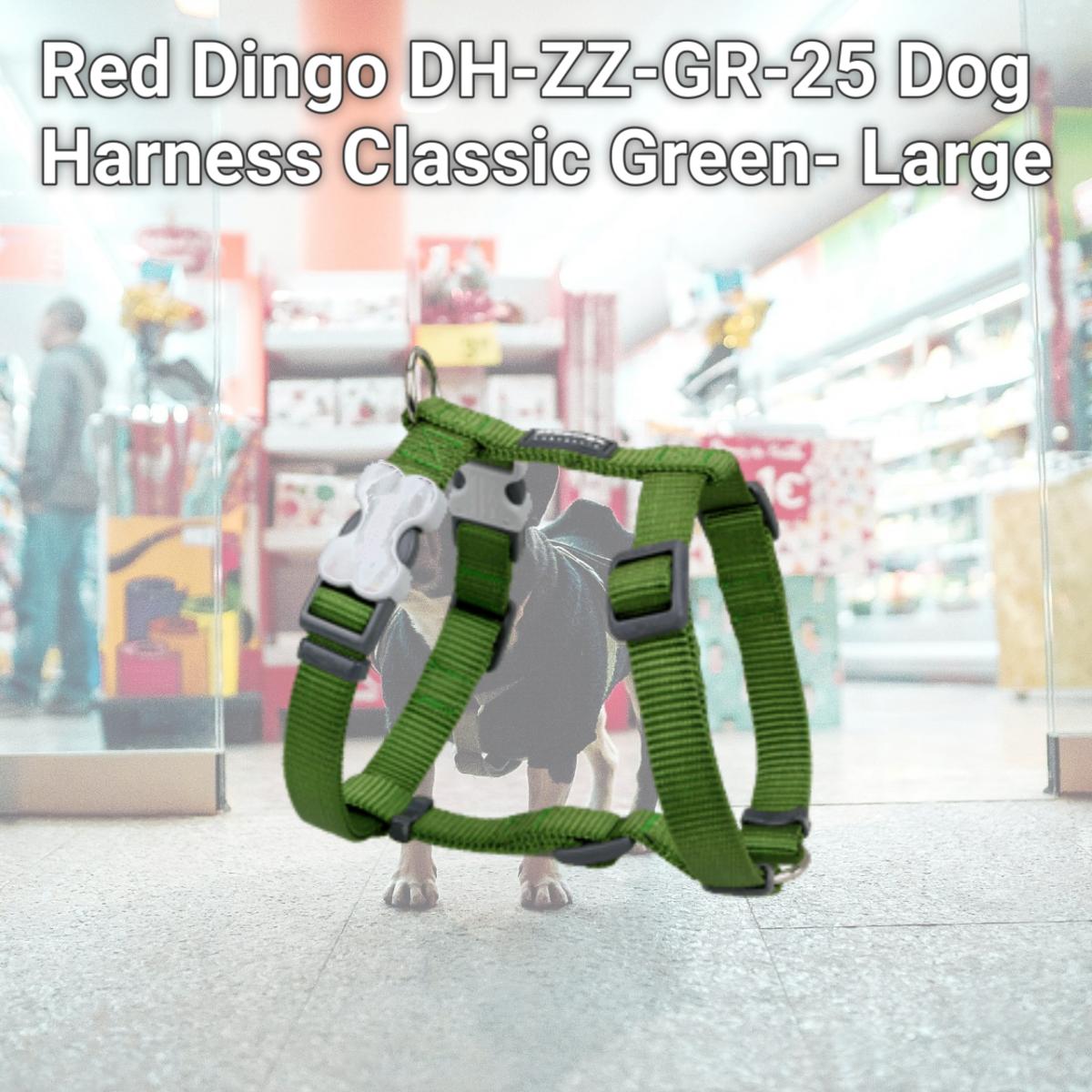 Picture of Red Dingo DH-ZZ-GR-25 Dog Harness Classic Green- Large