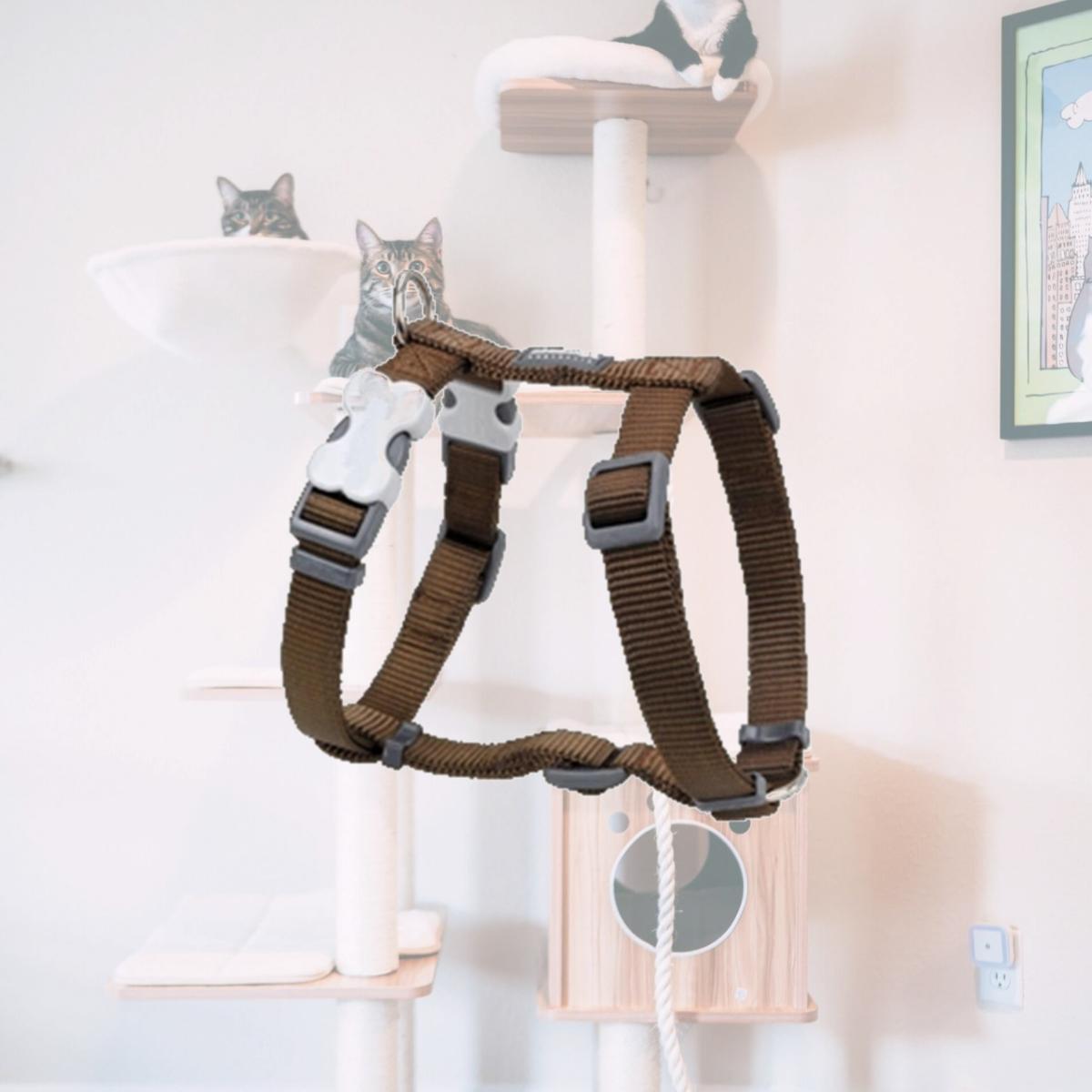 Picture of Red Dingo DH-ZZ-BR-25 Dog Harness Classic Brown- Large