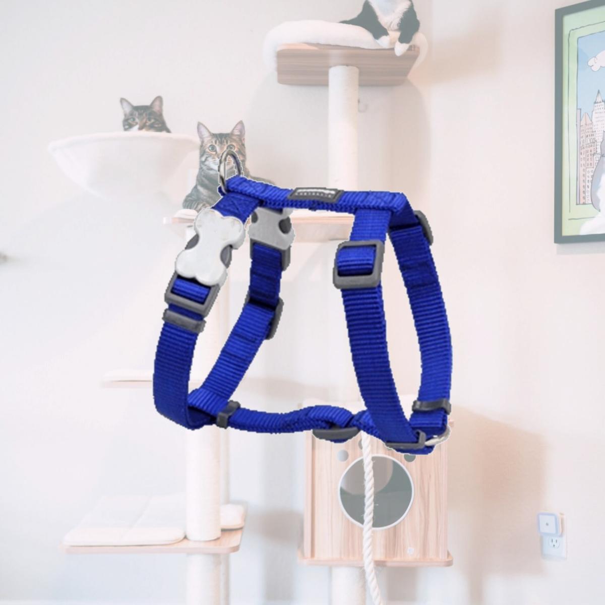 Picture of Red Dingo DH-ZZ-DB-XL Dog Harness Classic Dark Blue- XLarge