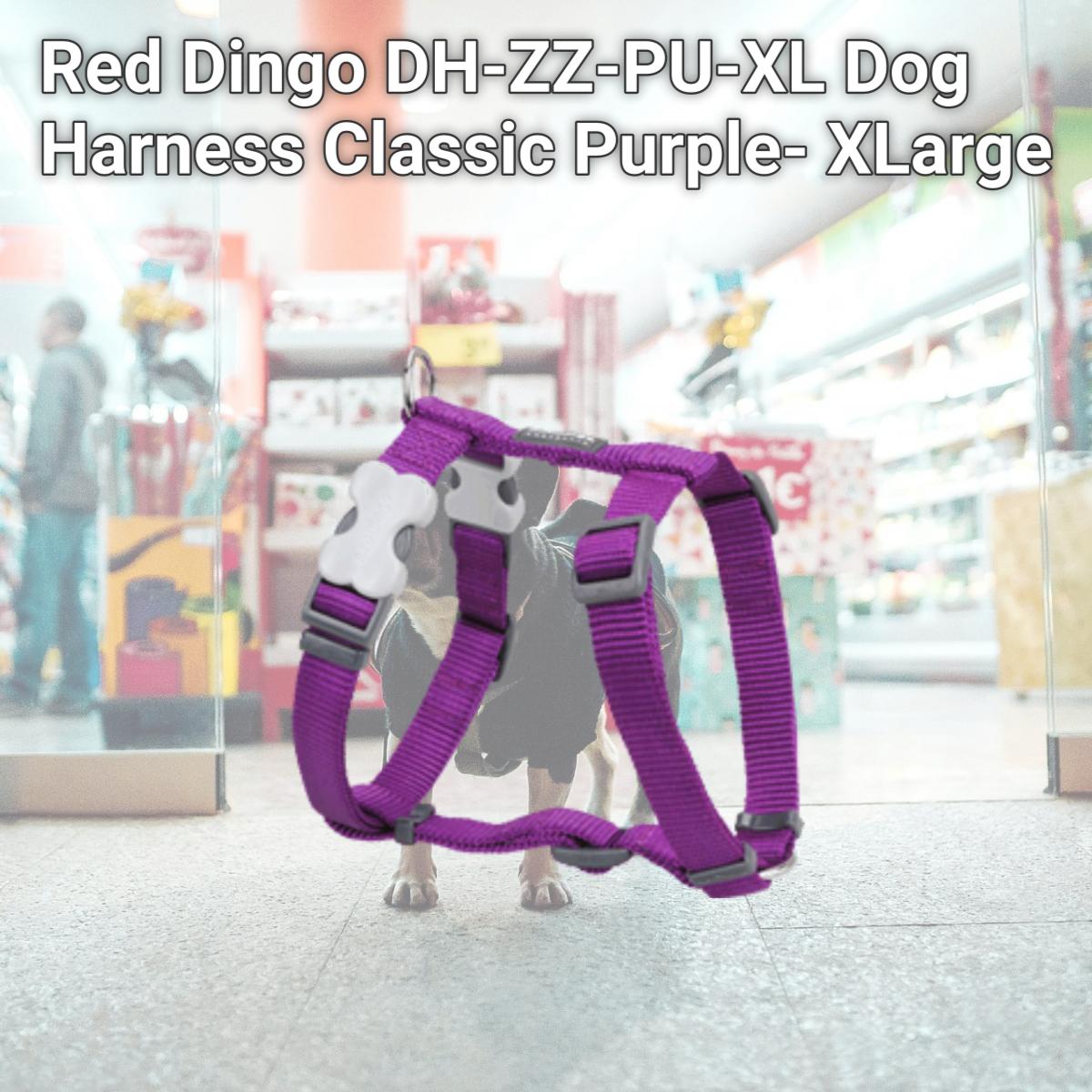 Picture of Red Dingo DH-ZZ-PU-XL Dog Harness Classic Purple- XLarge