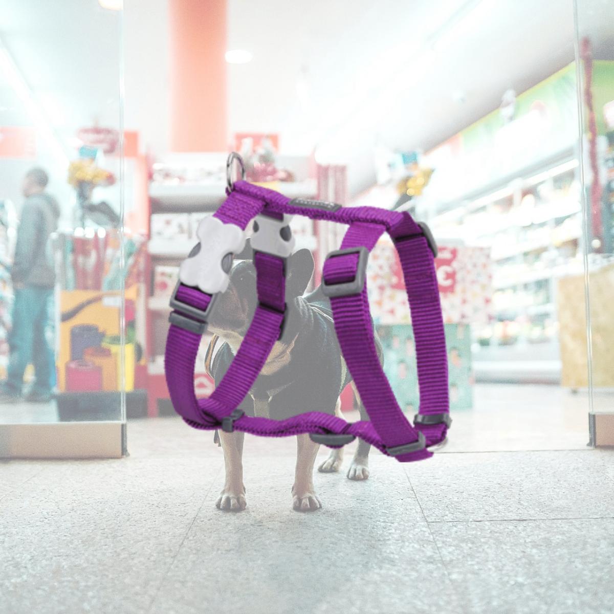 Picture of Red Dingo DH-ZZ-PU-XL Dog Harness Classic Purple- XLarge