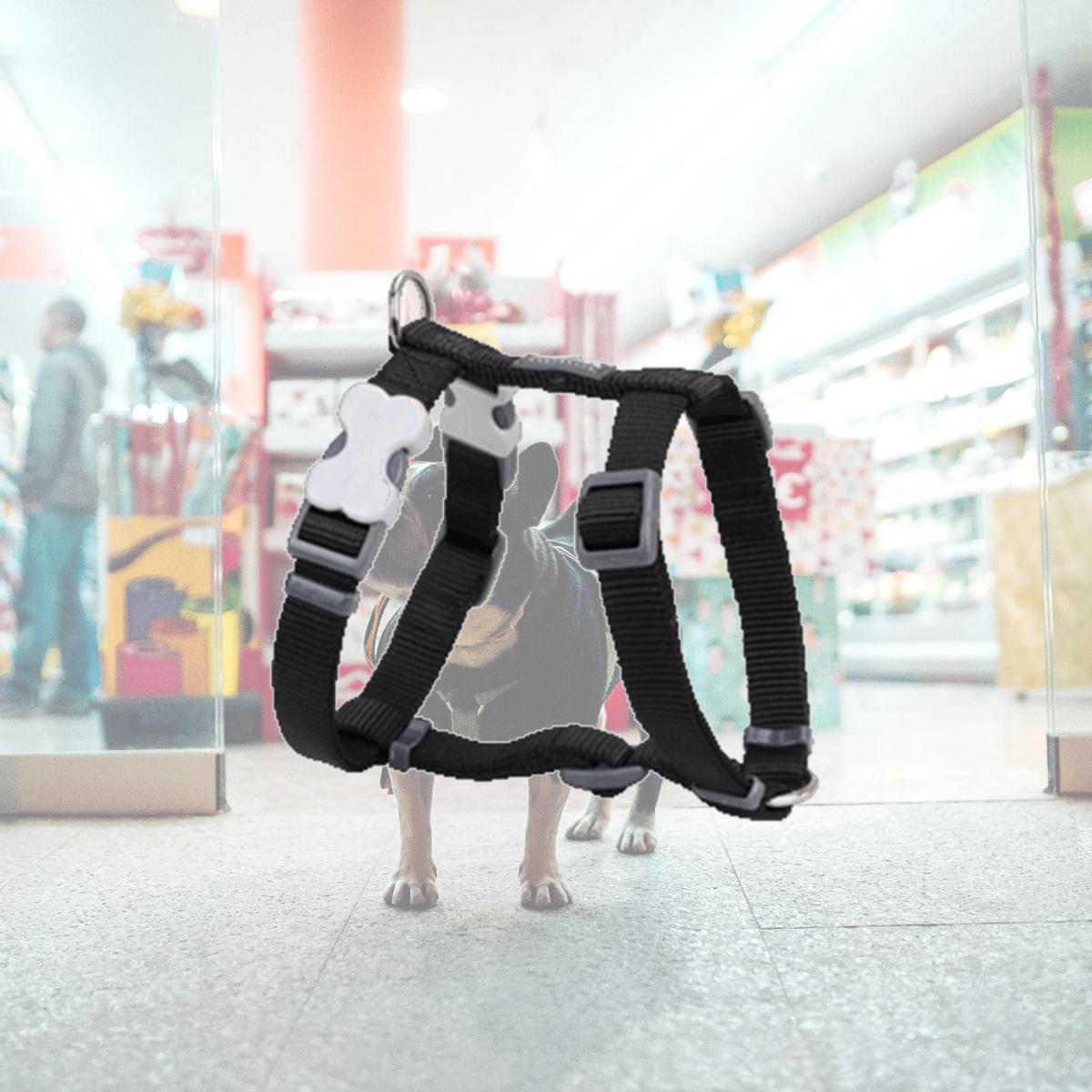 Picture of Red Dingo DH-ZZ-BB-XL Dog Harness Classic Black- XLarge
