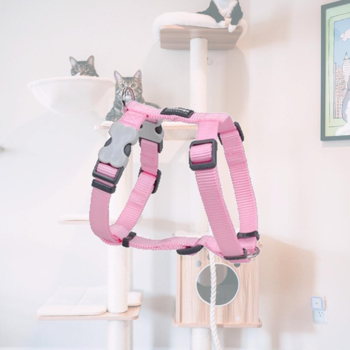 Picture of Red Dingo DH-ZZ-PK-XL Dog Harness Classic Pink- XLarge