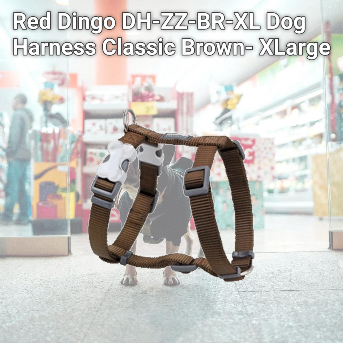 Picture of Red Dingo DH-ZZ-BR-XL Dog Harness Classic Brown- XLarge