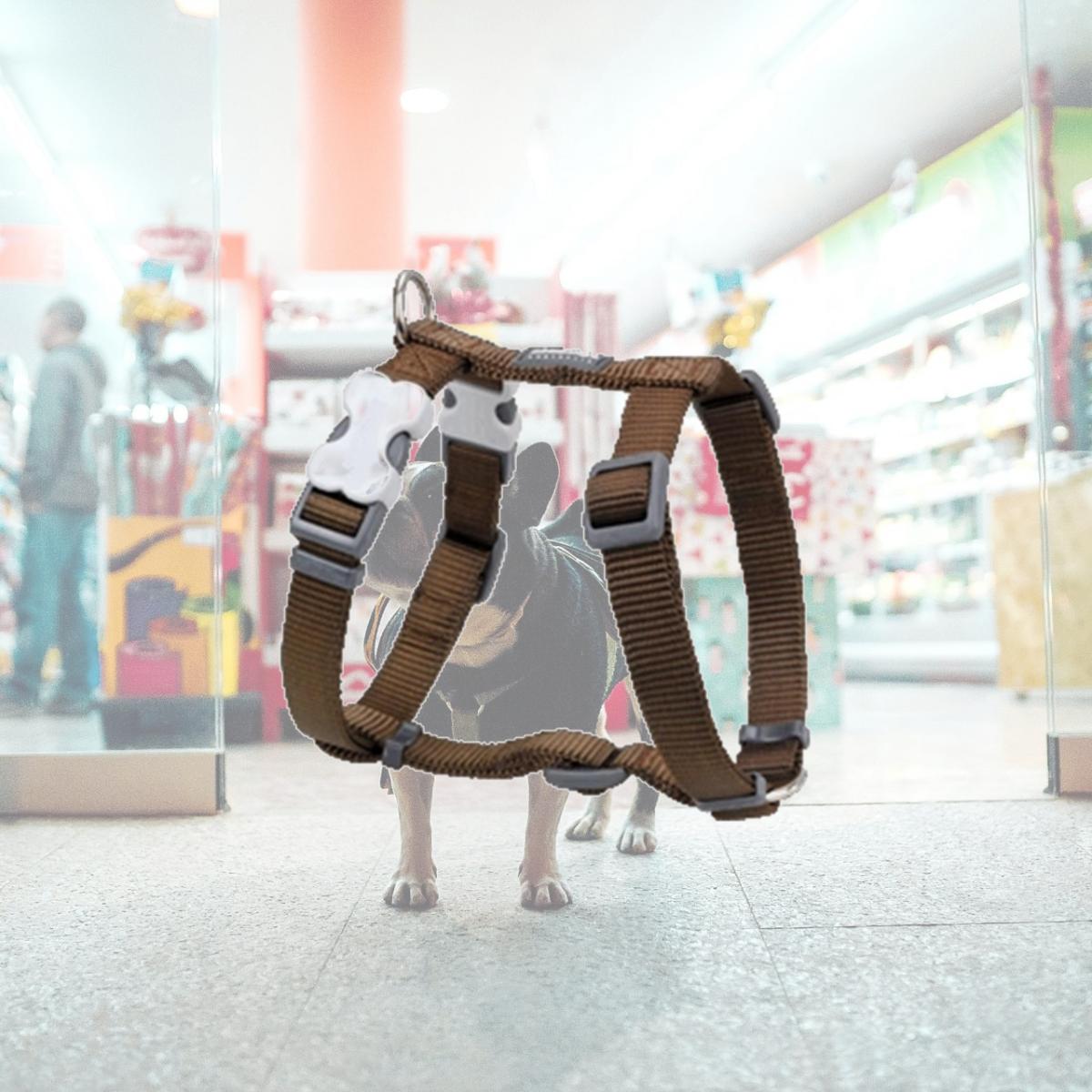 Picture of Red Dingo DH-ZZ-BR-XL Dog Harness Classic Brown- XLarge