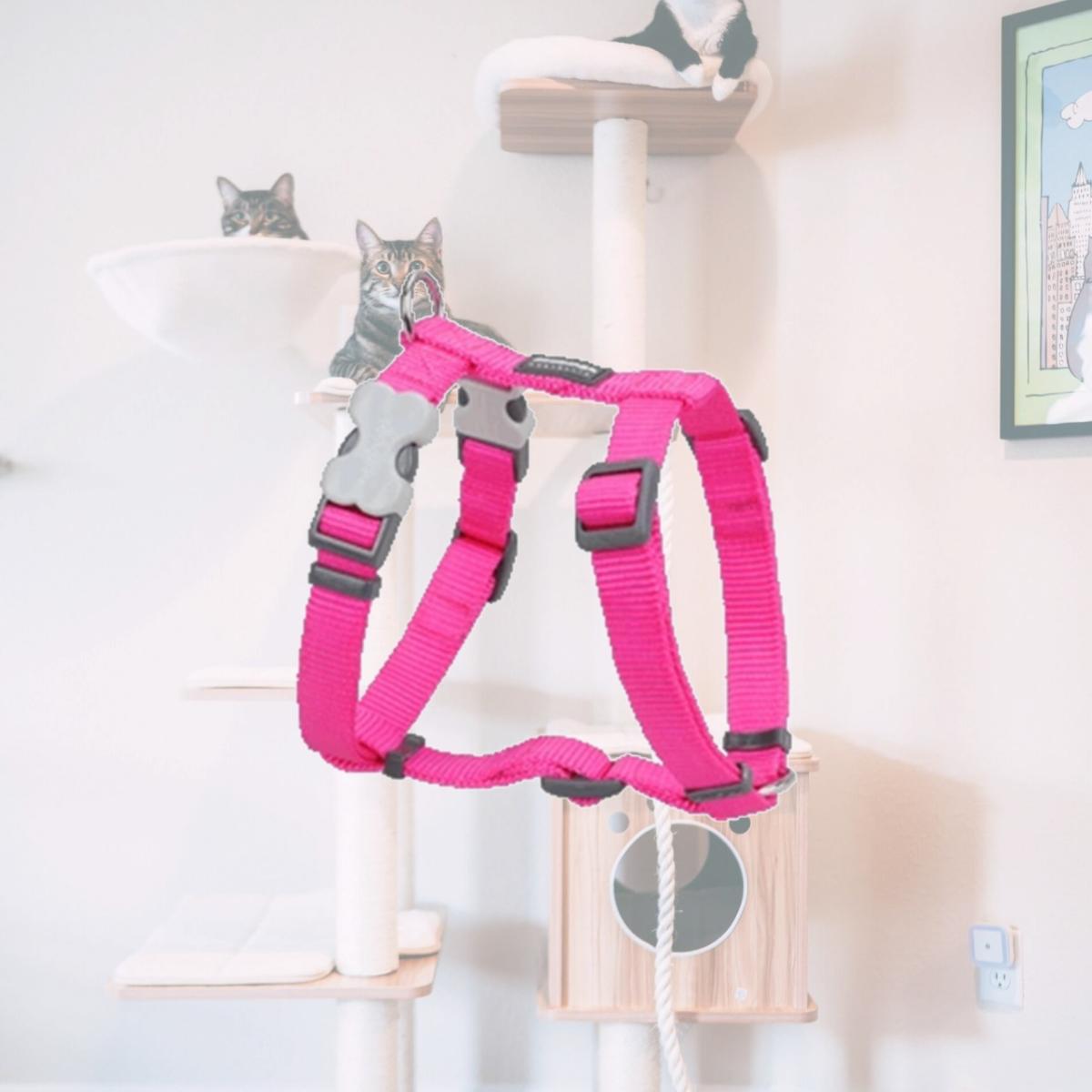 Picture of Red Dingo DH-ZZ-HP-XL Dog Harness Classic Hot Pink- XLarge