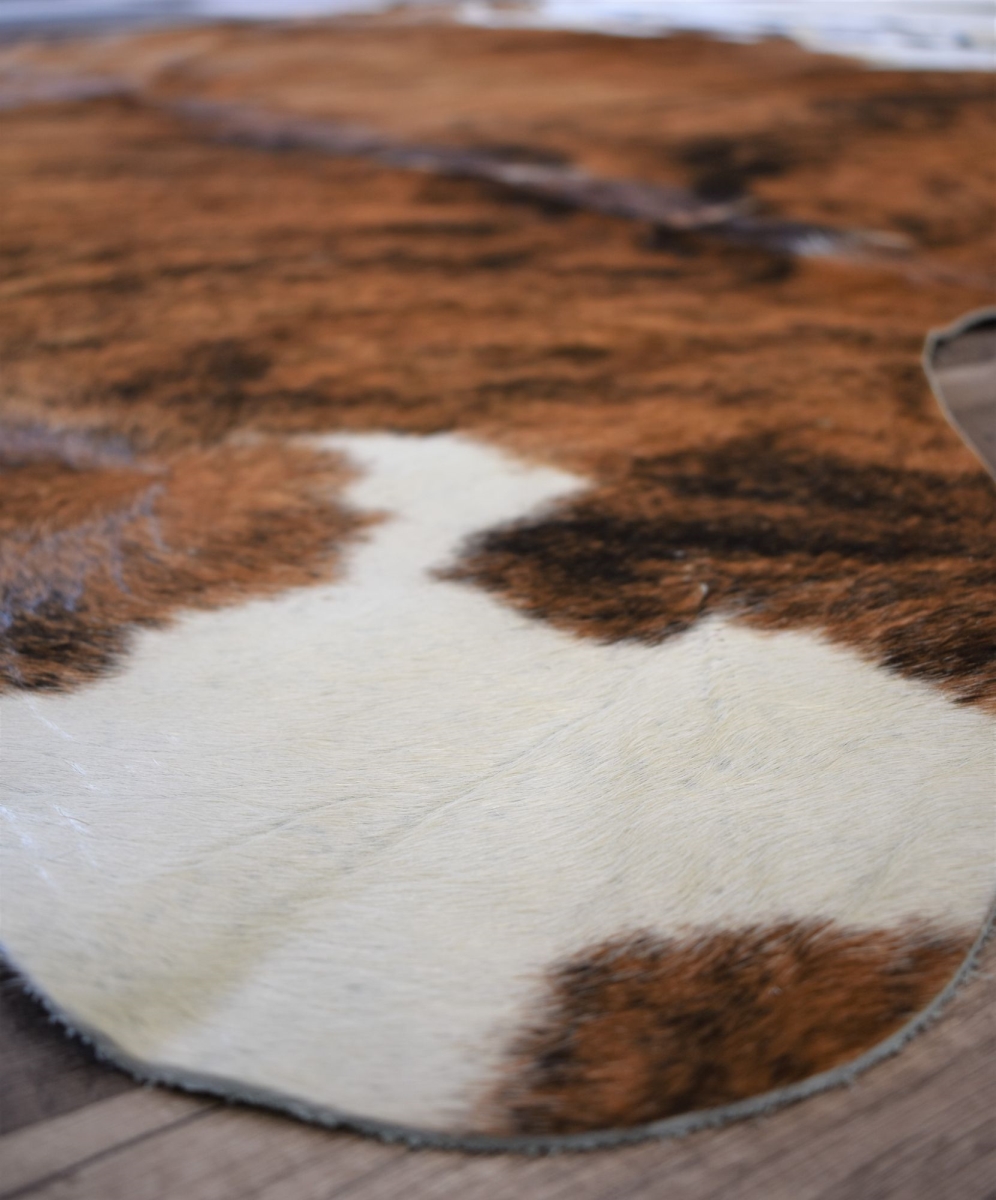 RA27903 5 ft. x 6 ft. 6 in. Nash HC28 Medium Exotic 28 Animal Contemporary Multi Color Area Rug