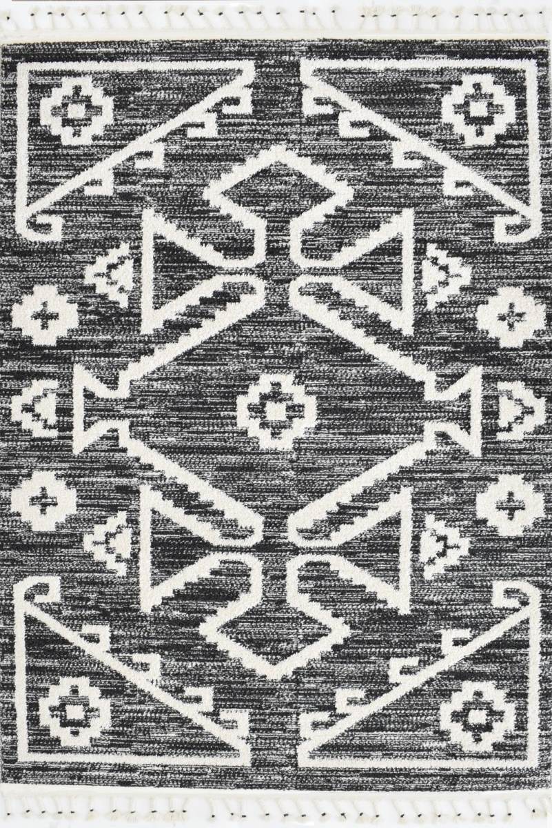 RA33428 2 ft. 6 in. x 4 ft. Catalan IB30C Billow Black Geometric Transitional Rectangle Area Rug, Black & White