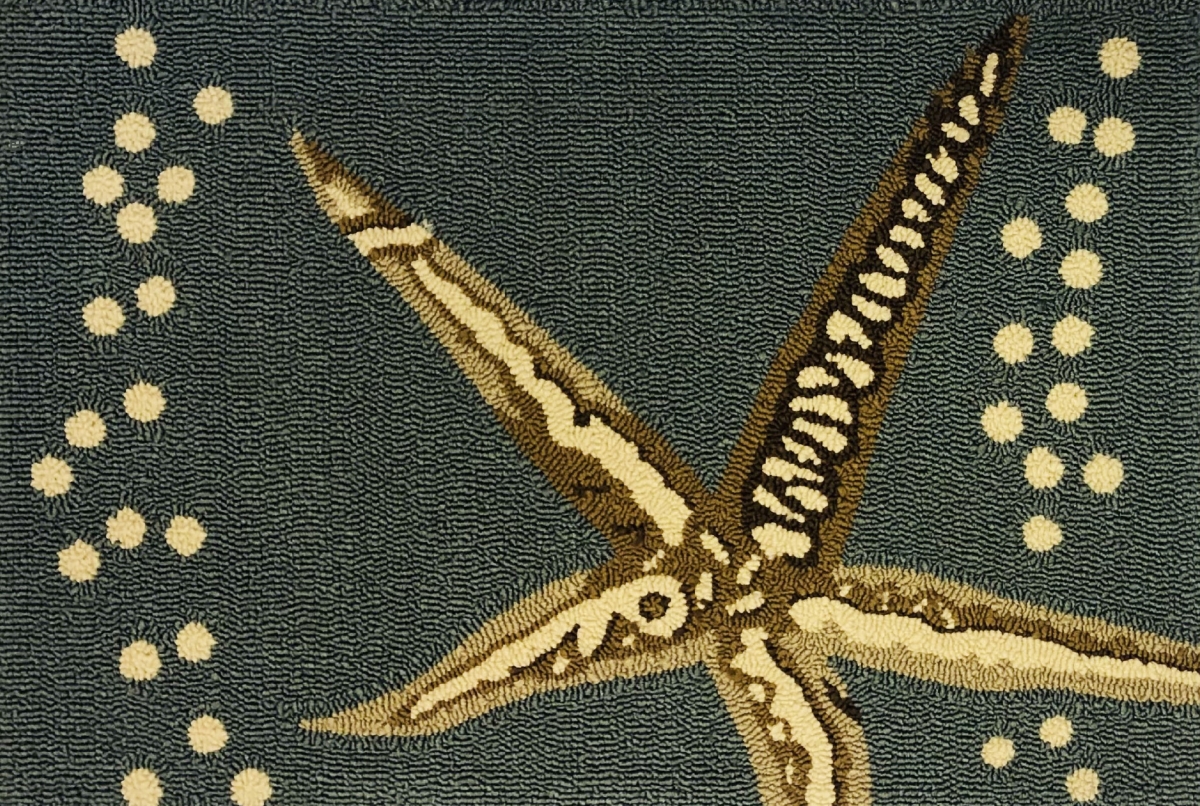 30 x 48 in. Starfish Rug