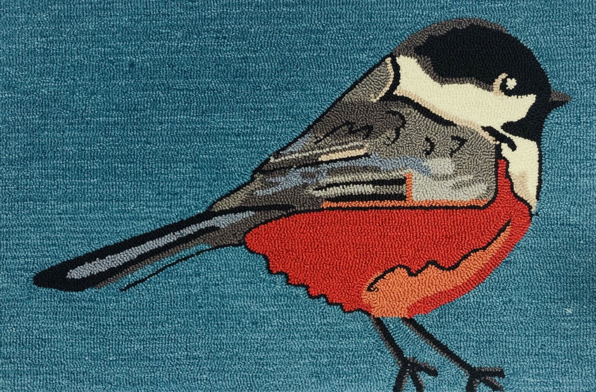 25820B 30 x 48 in. Chickadee Rug - Teal