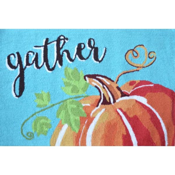25897A 24 x 39 in. Gather Harvest Rug - Teal
