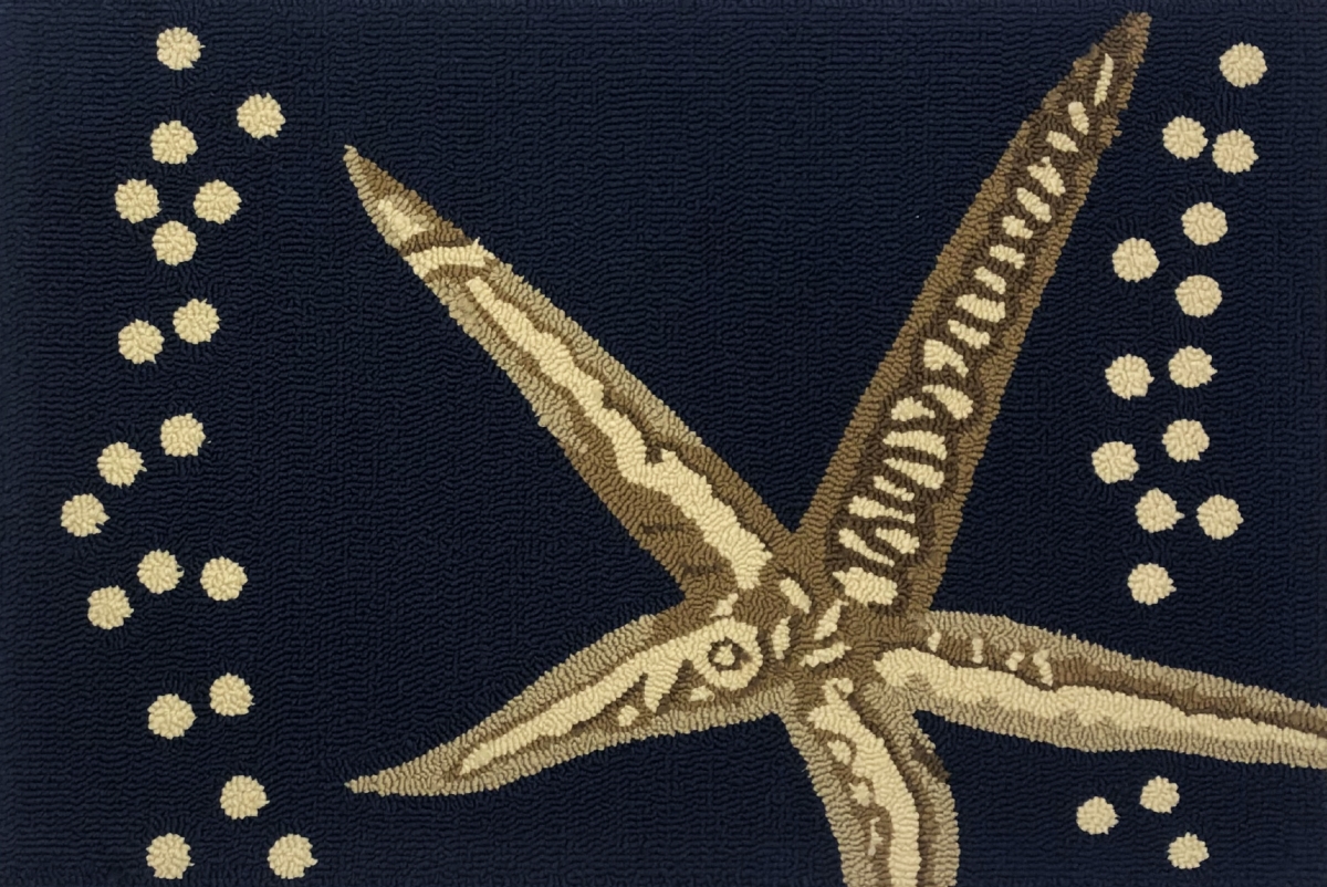 30 x 48 in. Starfish Rug - Indigo