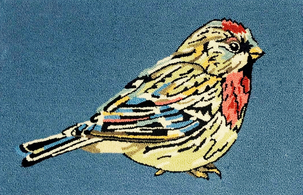 30 x 48 in. Luna Bird Rug - Blue