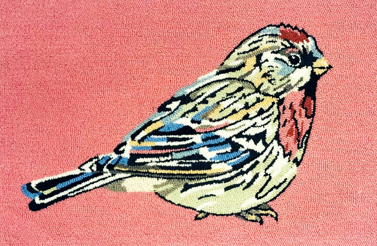 30 x 48 in. Luna Bird Rug - Coral