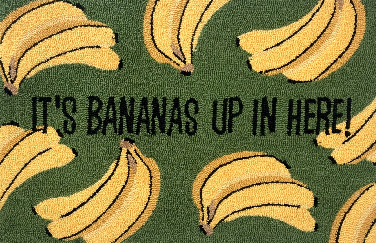 26438B 30 x 48 in. Its Bananas Rug - Fern