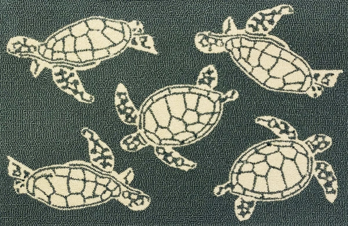 26483B 30 x 48 in. Multi Turtle Rug - Aqua