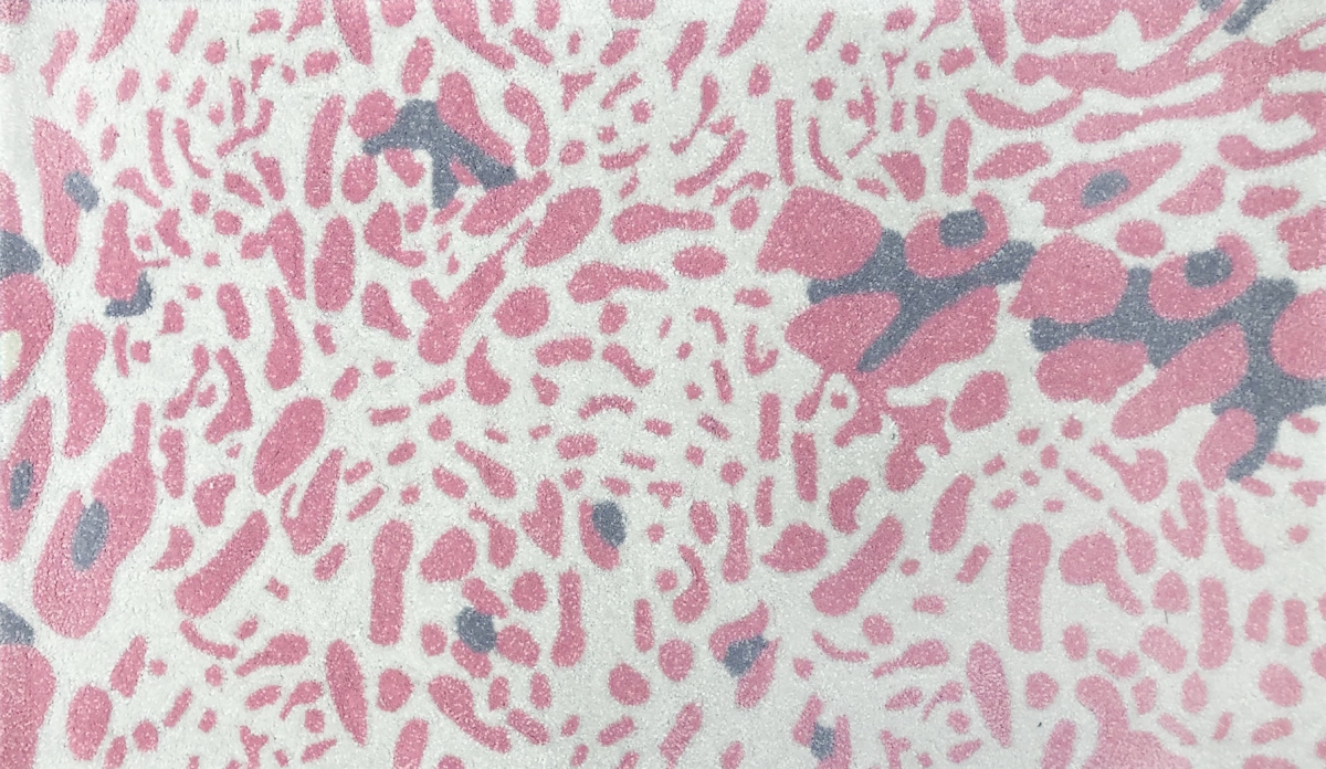 Picture of The Rug Market 74181B Kalahari Cheetah Pink Size 2.8X4.8