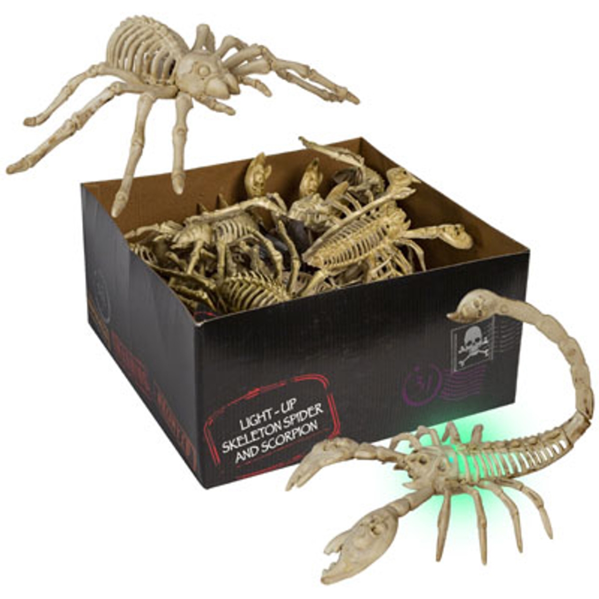 Picture of Regent Products G89527 8 in. Spider Scorpion Lightup Bone Approx Skeleton with Halloween Hot in PBQ - 24 Piece