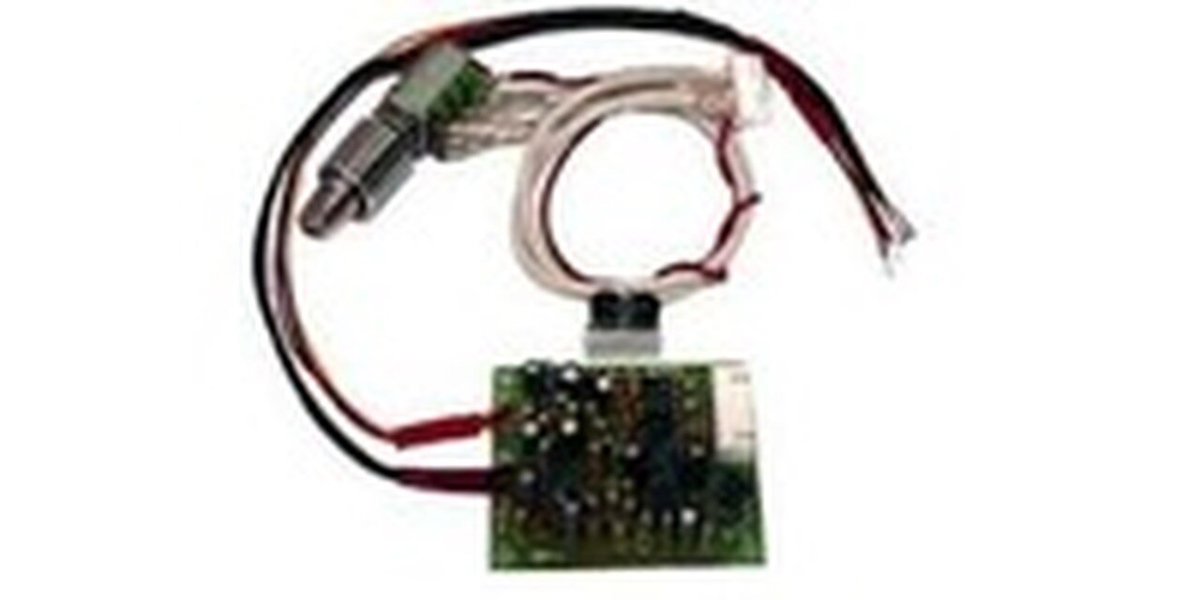 Workman BB3 Micro Sized Echo Boards
