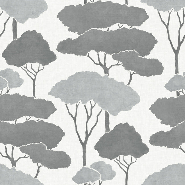 RMK12062WP Umbrella Pines Peel & Stick Wallpaper, Grey