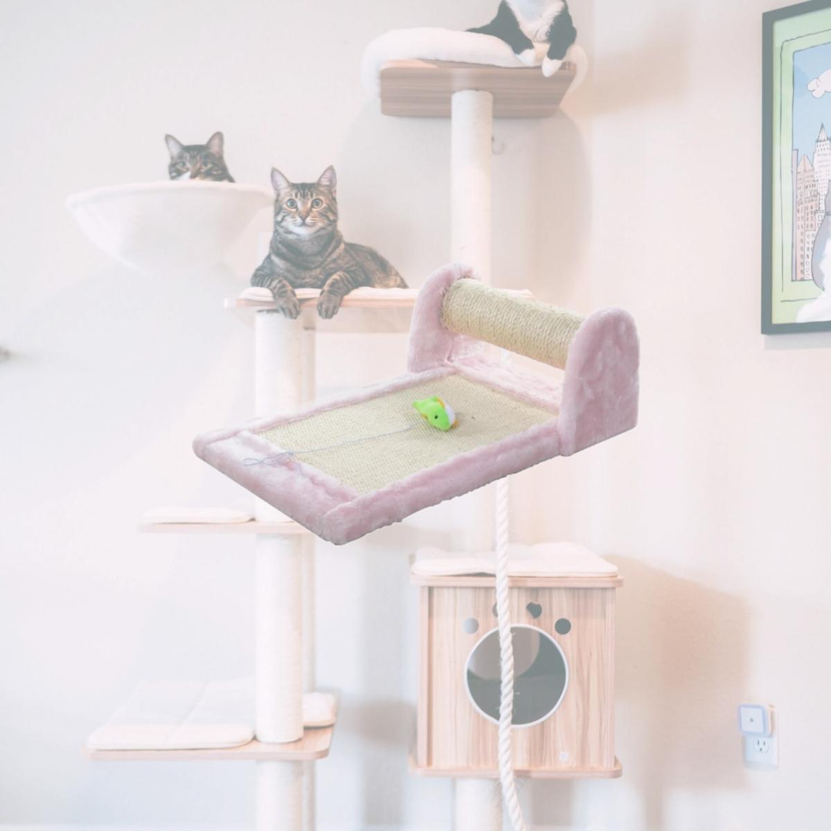 Picture of Armarkat Rolling Real Wood Cat Scratcher Toy  Sisal Scratching Board for Cats Training