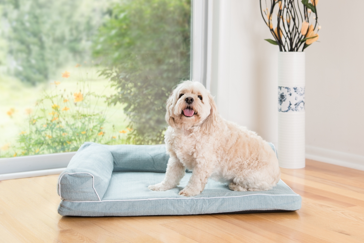 Picture of AeroMark International D08A Armarkat Pet Bed, Blue