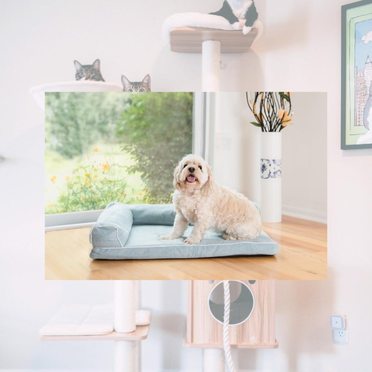 Picture of AeroMark International D08A Armarkat Pet Bed, Blue