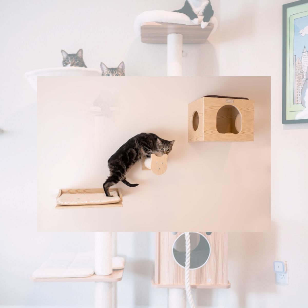 Picture of Armarkat Real Wood Wall Series: Tree W1907A With Condo  Perch And Stepup