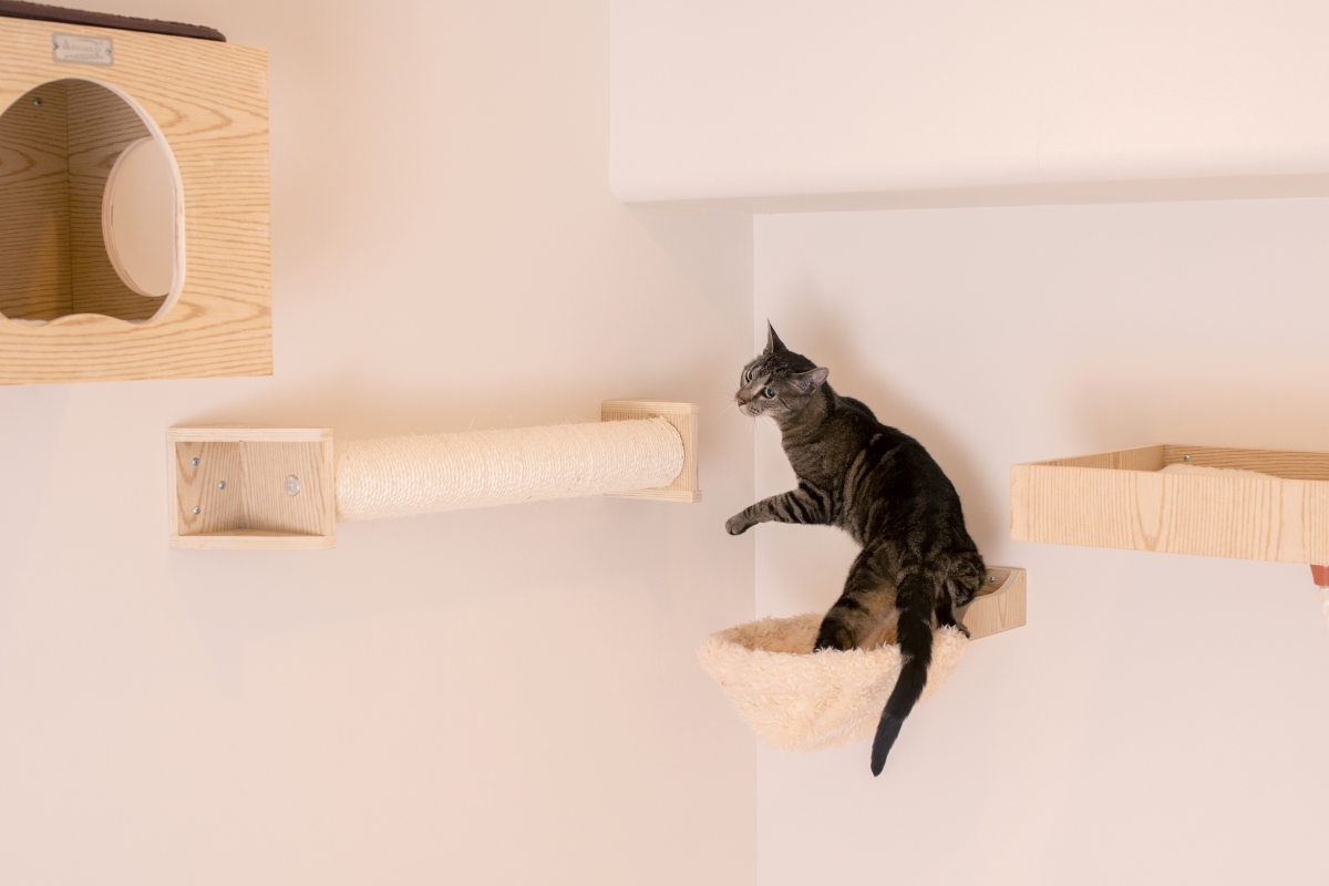 Picture of Armarkat Real Wood Wall Series: Scratching Post W1907D